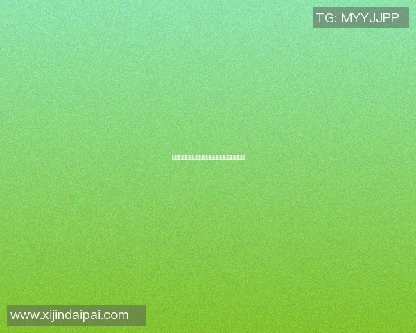 篮球明星的独特魅力与成功背后的共同特征分析